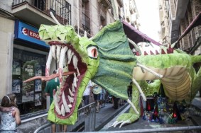 Llibertat 2013 (18).preview